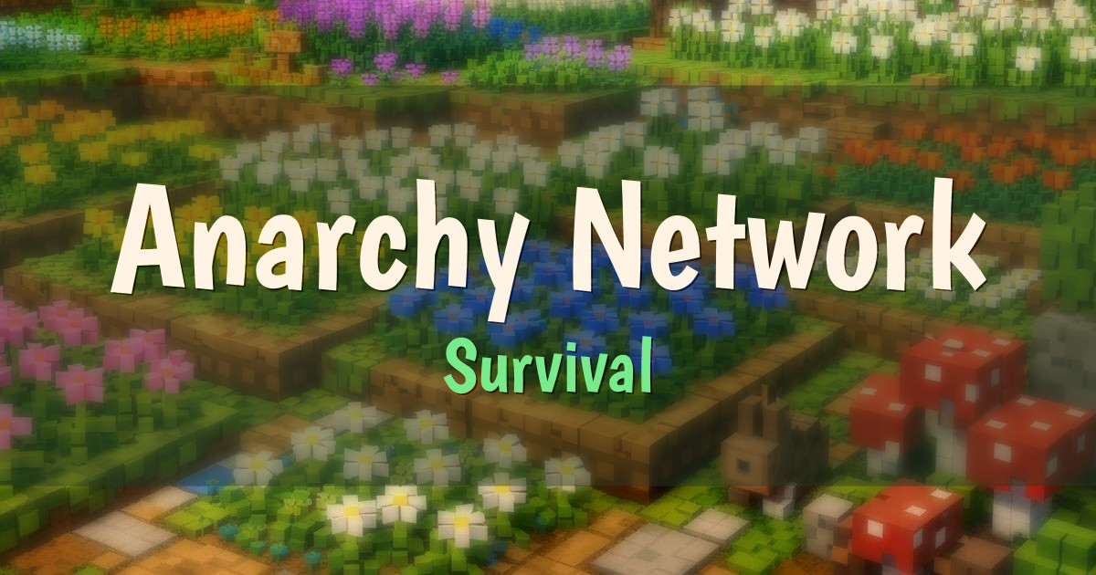 Banner for Anarchy Network Survival (anarchynetwork.net)
