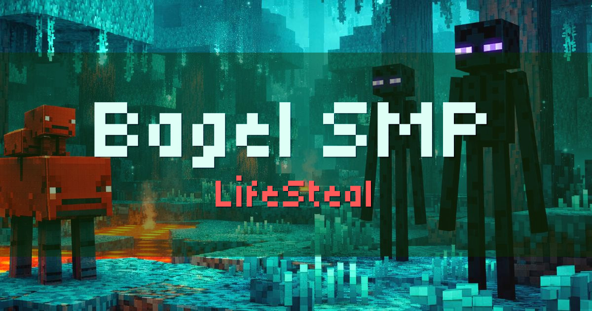 Banner for Bagel SMP LifeSteal (bagelsmp.net)
