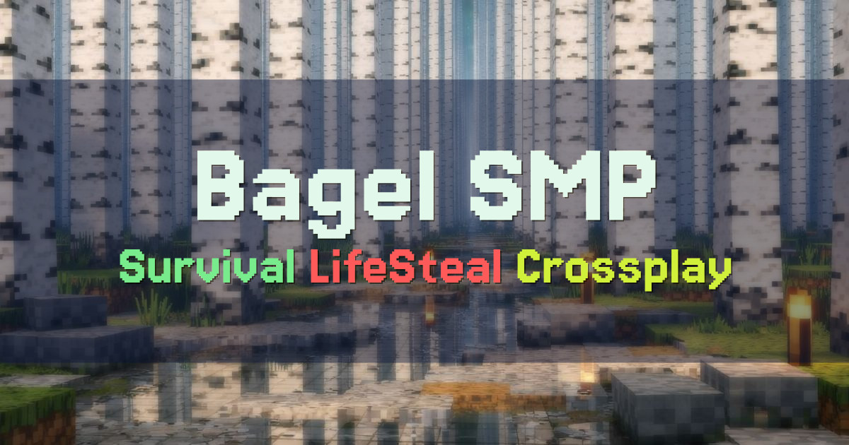 Banner for Bagel SMP Vanilla Survival with LifeSteal (bagelsmp.net)