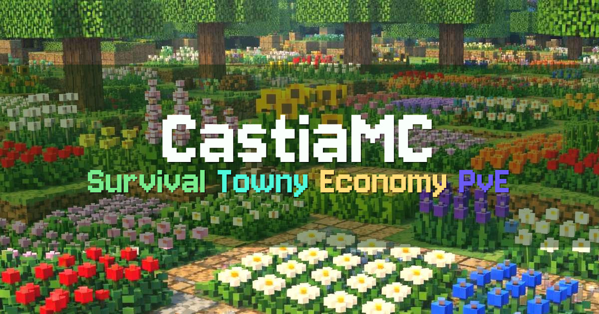 Banner for CastiaMC Enhanced Survival with Towny Economy (org.castiamc.com)