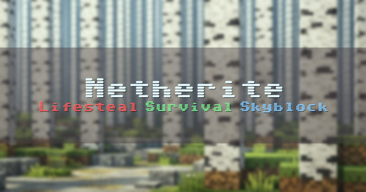 Banner for Netherite Lifesteal Survival and Skyblock (mc.netherite.gg)