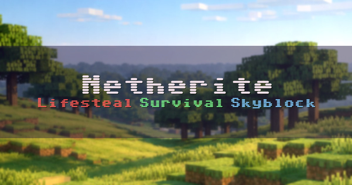 Banner for Netherite Lifesteal Survival and Skyblock Network