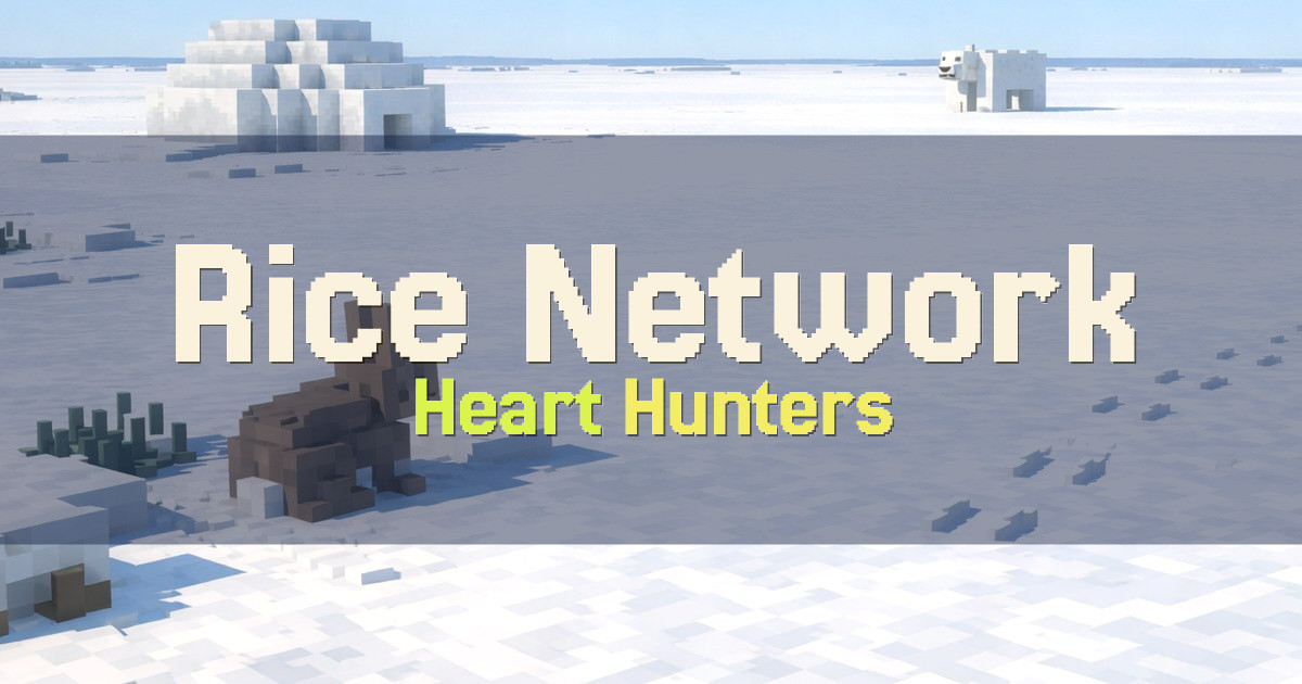 Rice Network Lifesteal Minecraft server