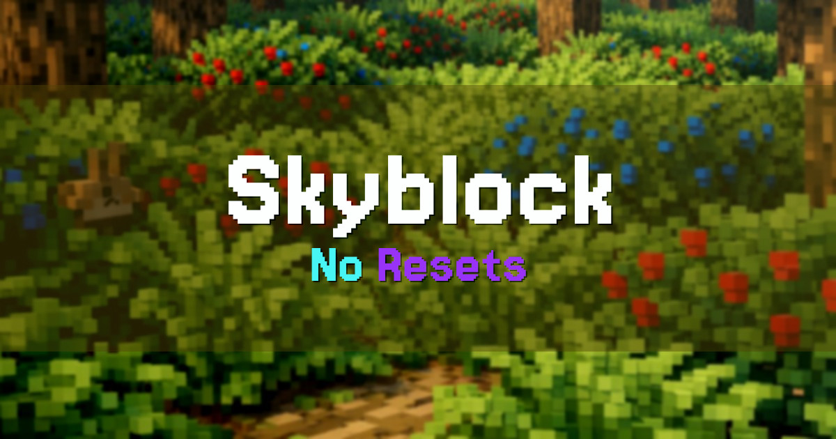 Skyblock Survival Minecraft server