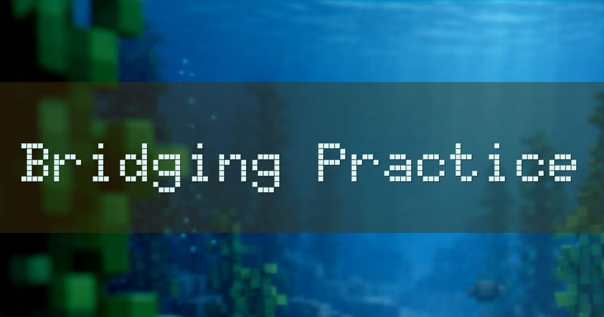 Banner for AquaBridge Semi Vanilla Bridging Practice (aquabridge.eu)