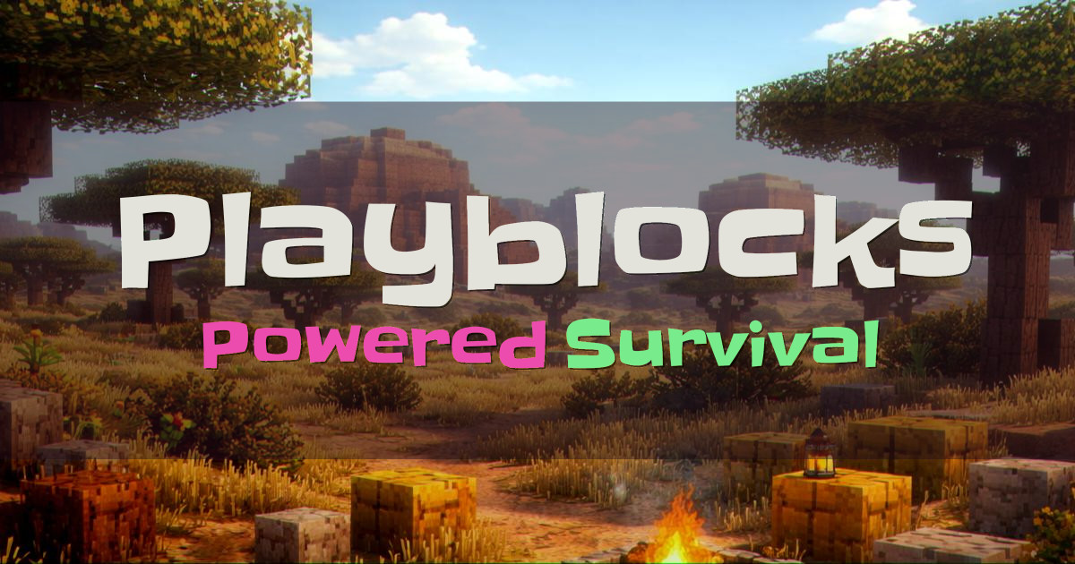 Playblocks Survival Minecraft server