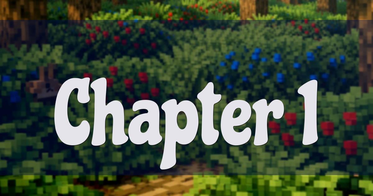 Banner for Semi Anarchy SMP Chapter 1 Launch (communitysmp.noobs.army)