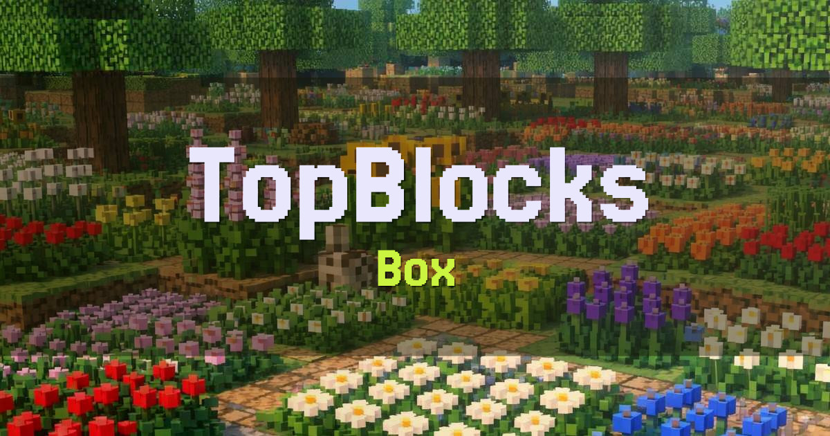 TopBlocks Box Minecraft server