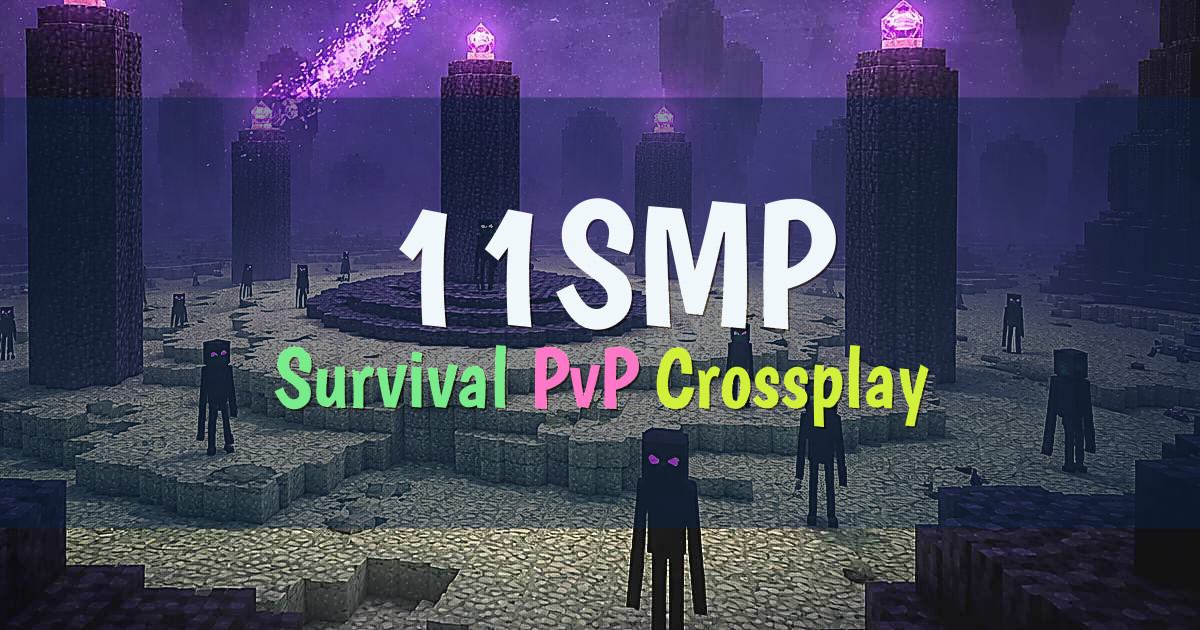 Banner for 11SMP High Stakes Survival PvP SMP (11smp.xyz)