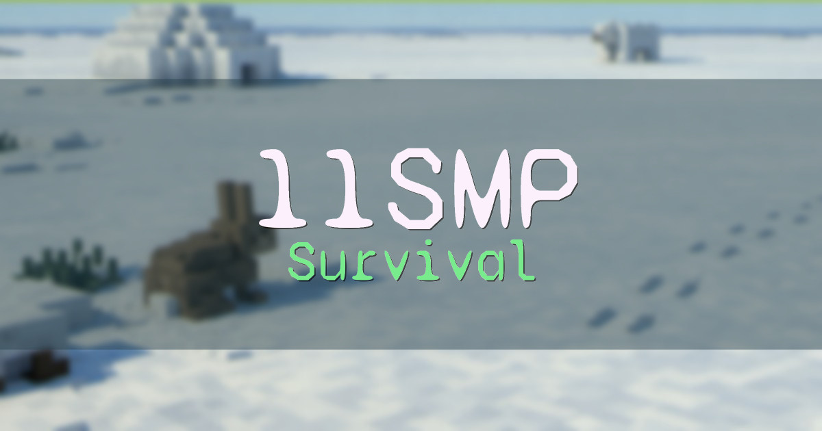 11SMP Survival Minecraft server