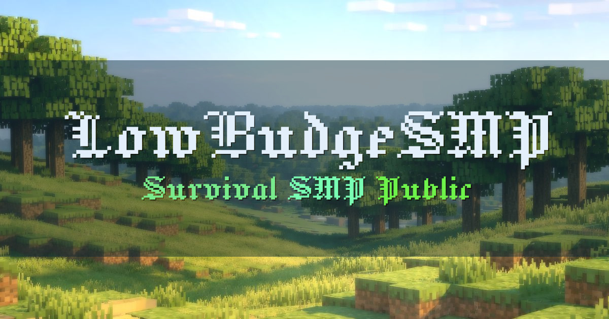 Banner for LowBudgeSMP Public Survival Multiplayer Server (lowbudgesmp.minehut.gg)
