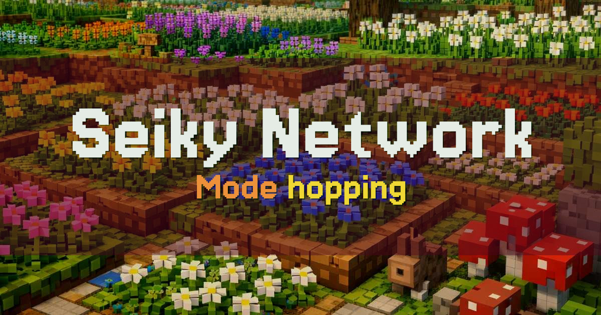 Seiky Network Network Minecraft server