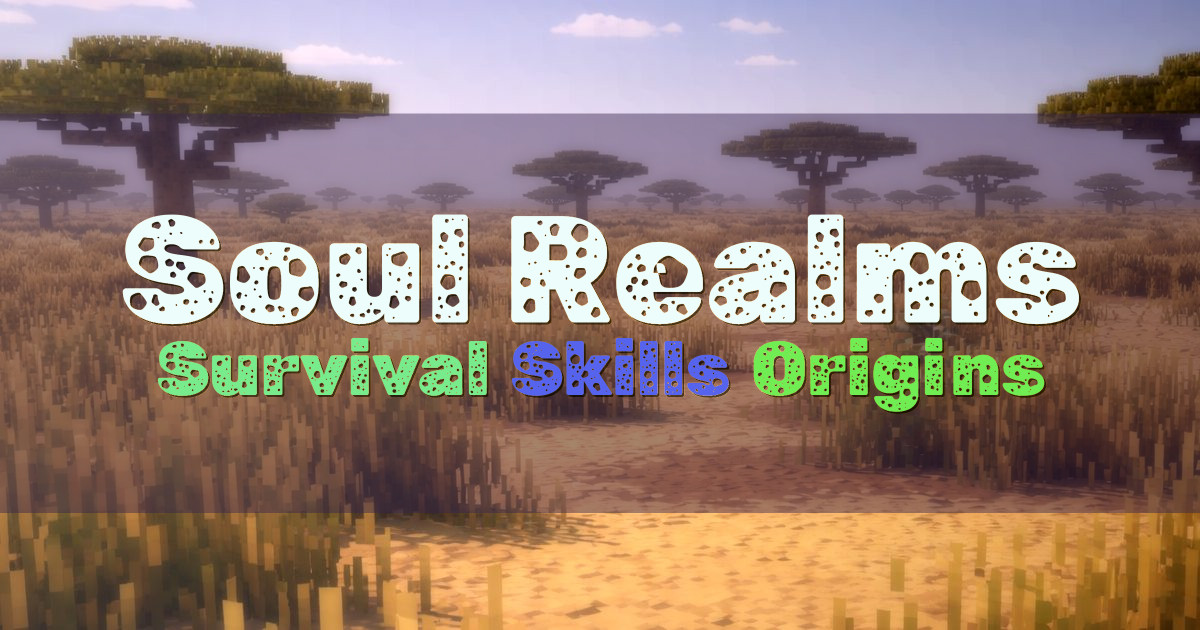 Banner for Soul Realms SMP Survival With Skills And Origins (rd.soulrealms.net)