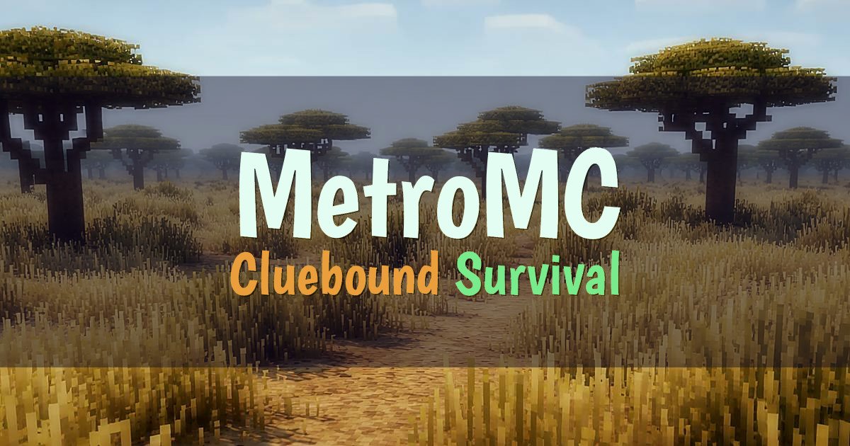 MetroMC Survival Minecraft server