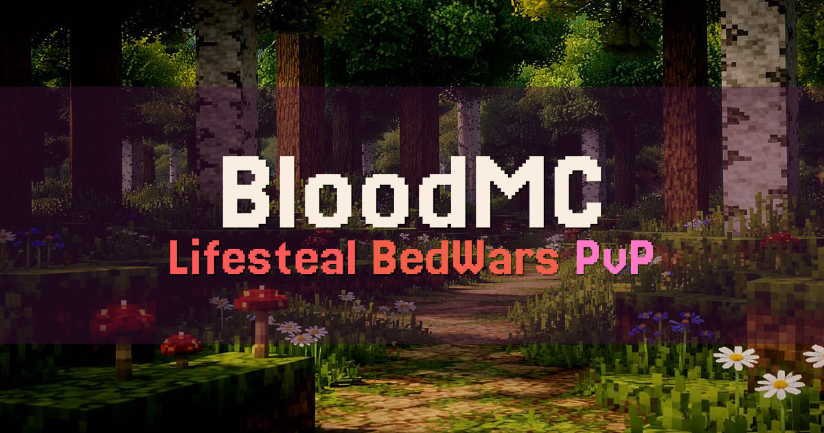 Banner for BloodMC Lifesteal and BedWars Network