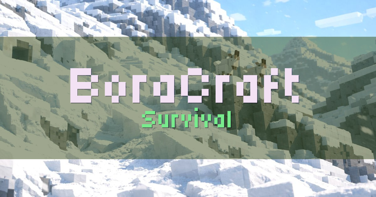 Banner for BoraCraft Survival