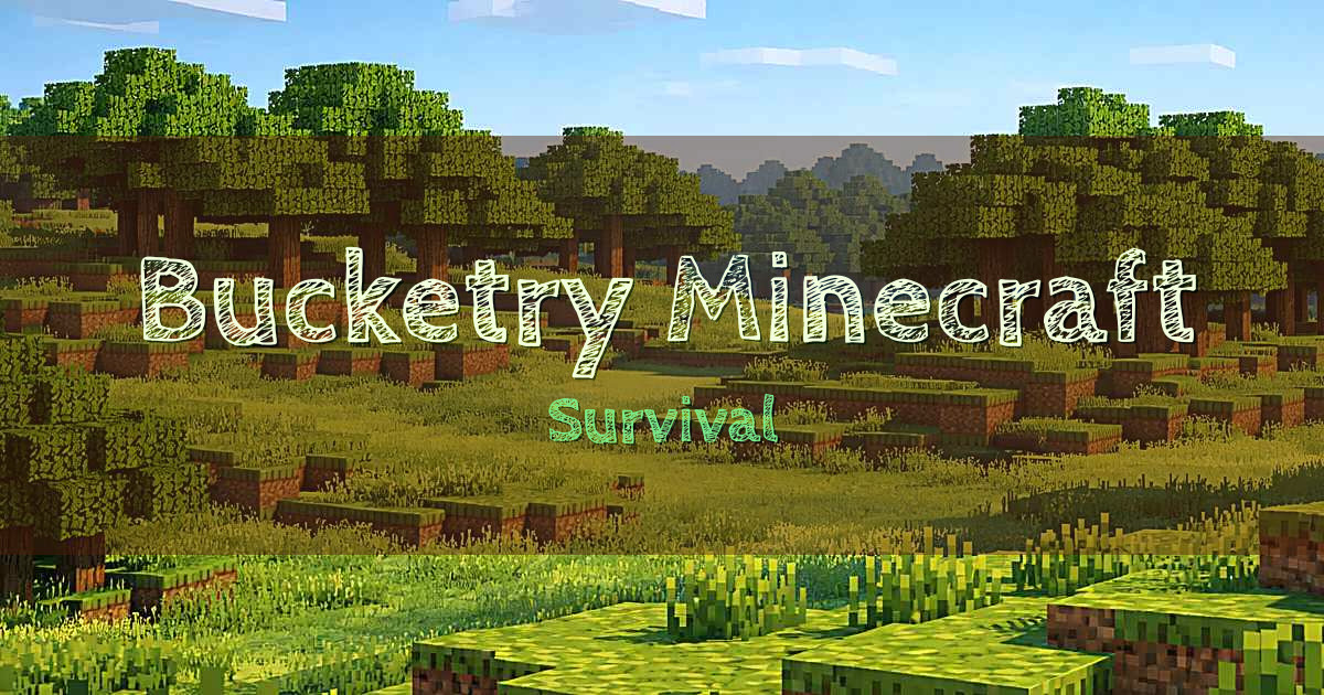Banner for Bucketry Minecraft Survival