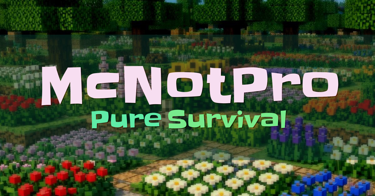 McNotPro Survival Minecraft server
