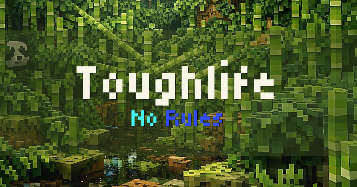 Toughlife Anarchy Minecraft server