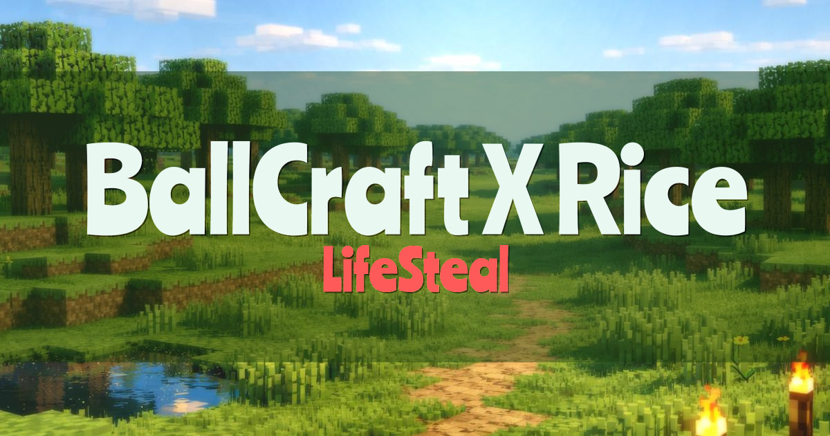 BallCraft X Rice Network LifeSteal Minecraft server