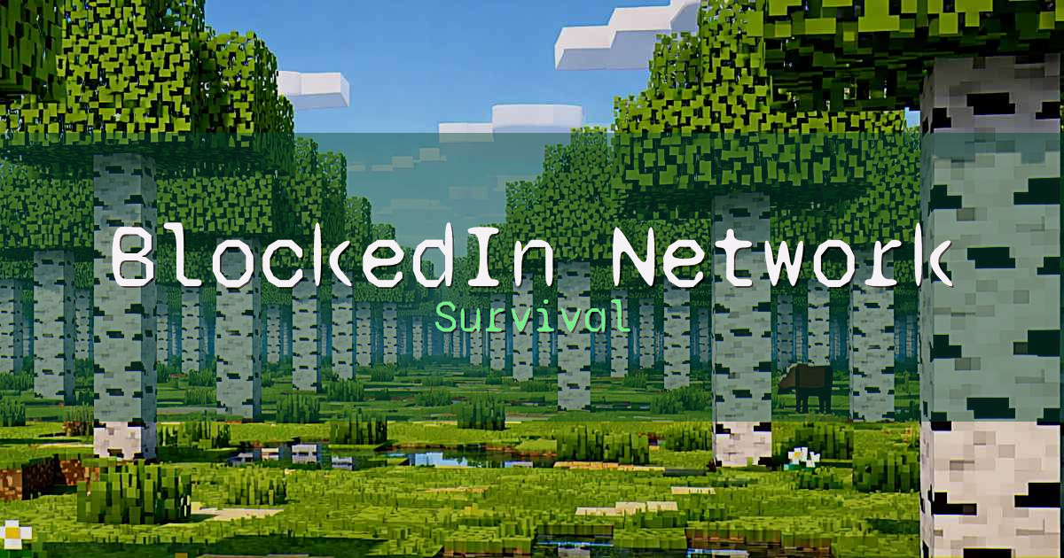 BlockedIn Network Survival Minecraft server