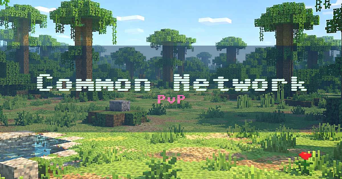Common Network PvP Minecraft server