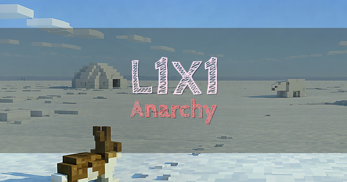 L1X1 Anarchy Minecraft server