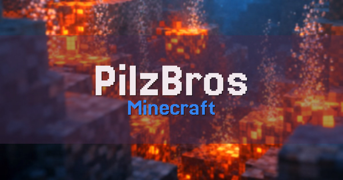 PilzBros Minecraft server