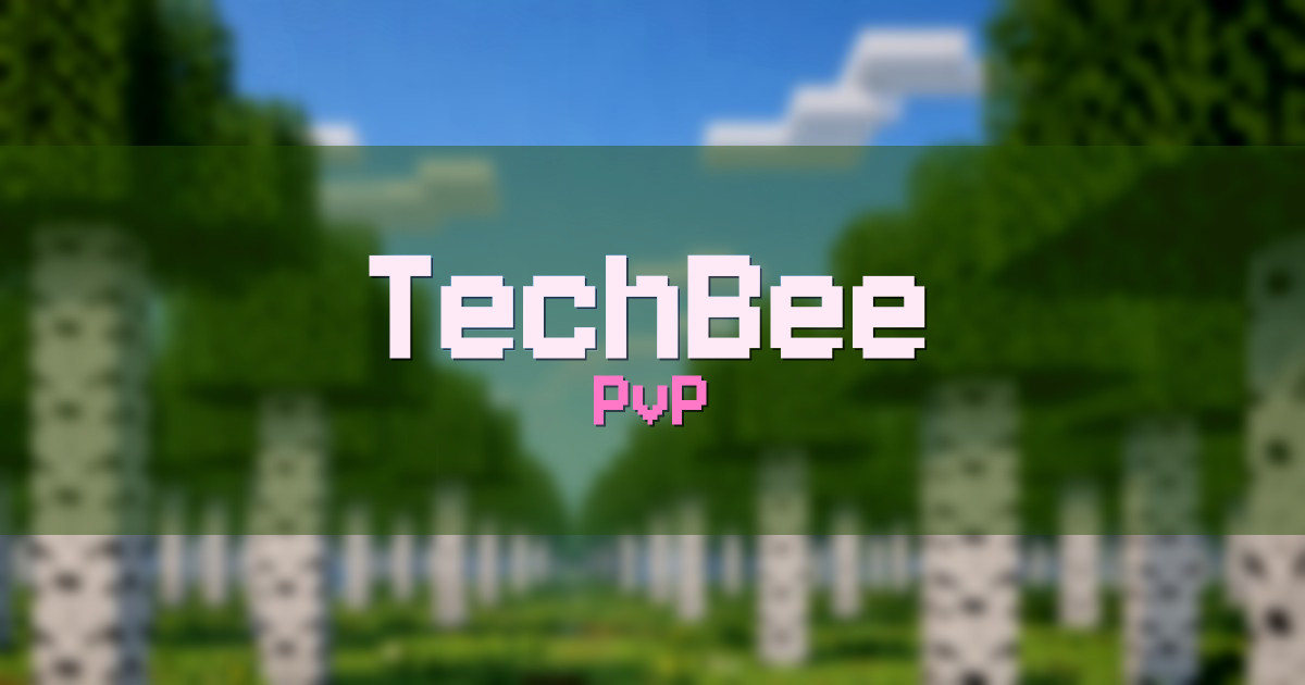 TechBee PvP Minecraft server