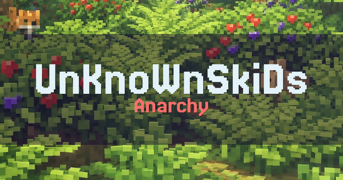 UnKnoWnSkiDs Anarchy Minecraft server