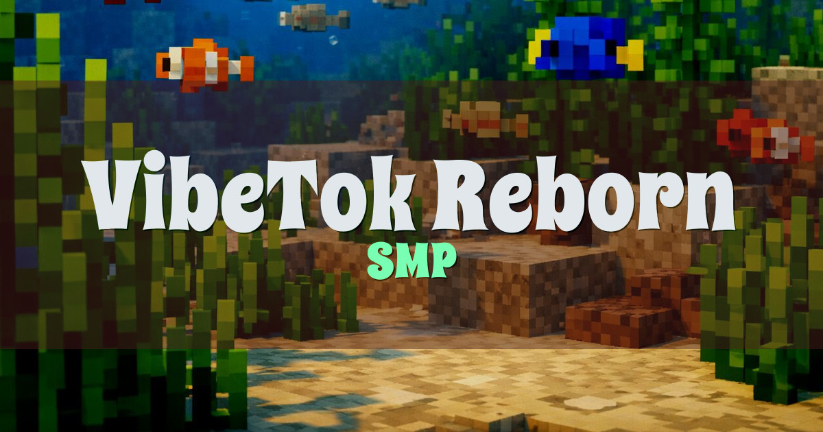 VibeTok Reborn SMP Minecraft server